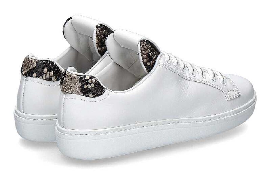 Sneakers | Church's Church'S Sneaker Boland Woman White Pitone Print