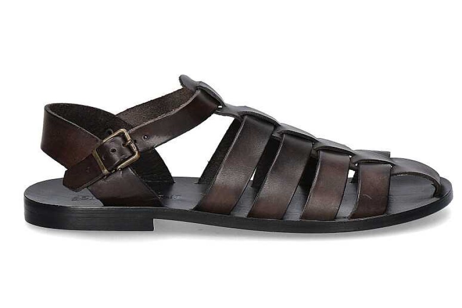 Sandals | Emozioni Emozioni Gladiator Sandals Black