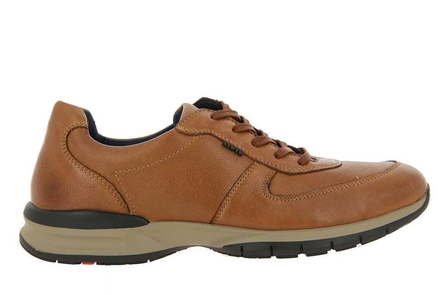 Sneakers | Lloyd Lloyd Sneaker Aberdeen Sahara Calf Whisky